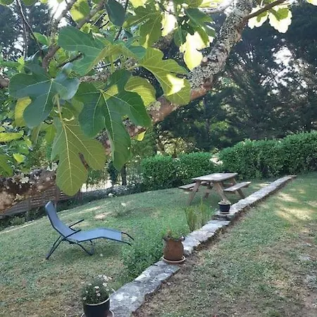 Lila - Centre Piscine Et Jacuzzi Apartamento Sarlat