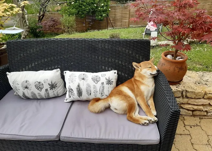 Lila - Centre Piscine Et Jacuzzi * Sarlat